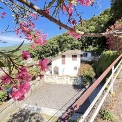 DEIVA MARINA - LOC. CA MIRO - SALITA DELLA RESISTENZA 17